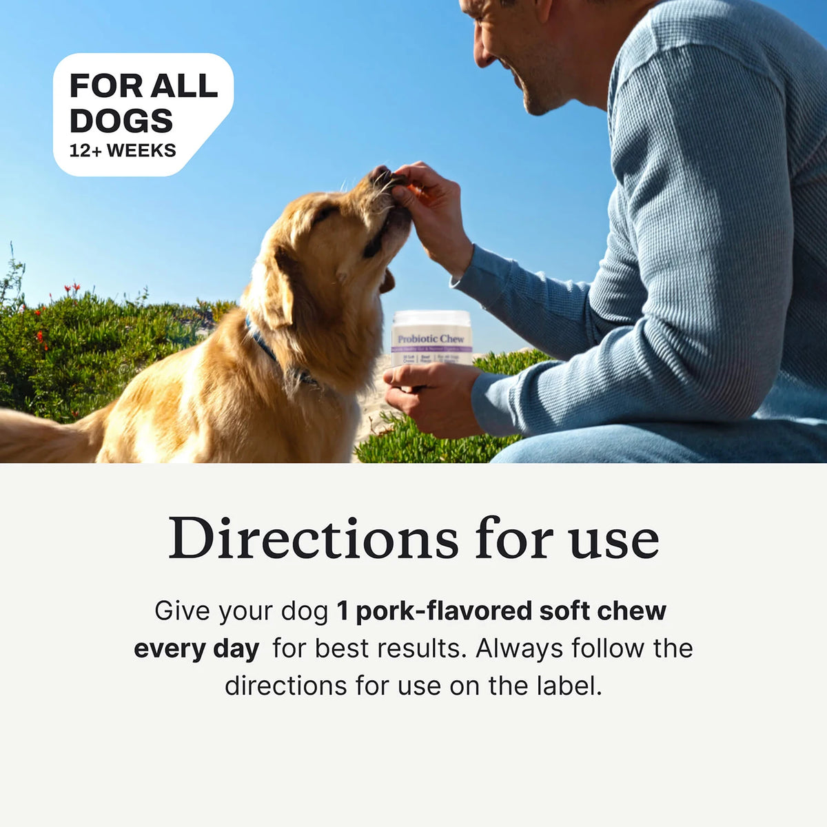 Dog being offered a chew by hand; original supplier use illustration